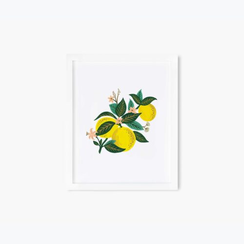 Alternative view of Lemon Blossom Art Print