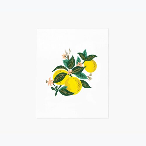 Lemon Blossom Art Print