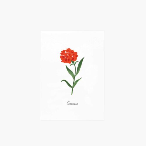 Birth Month Art Print - January