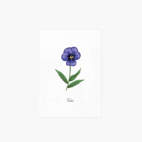 Birth Month Art Print - February