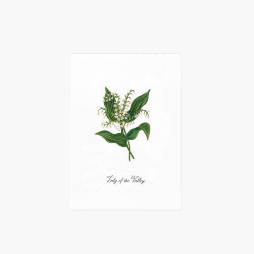 Birth Month Art Print - May