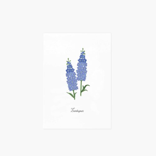 Birth Month Art Print - July