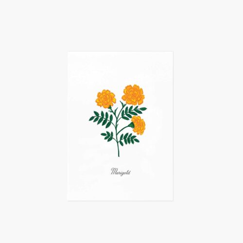 Birth Month Art Print - October