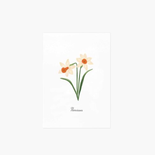 Birth Month Art Print - December