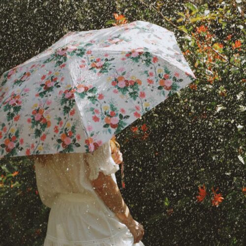Alternative view of Umbrella - Dahlia