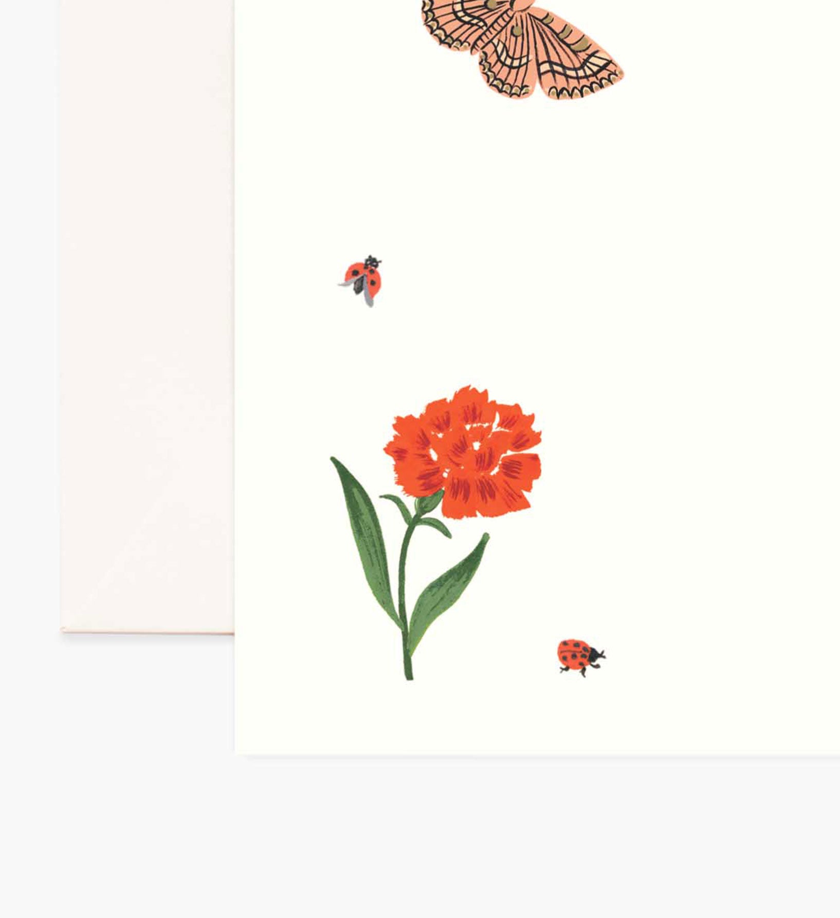 Everyday Personalized Stationery - Curio - Image 2