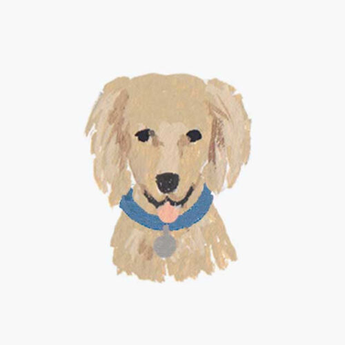 Alternative view of Pets Personalized Stationery - Dog 2
