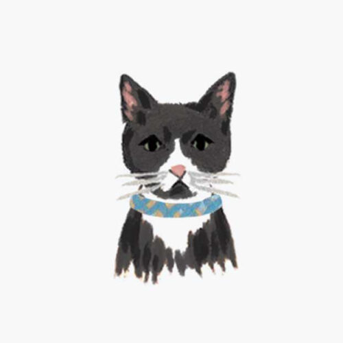 Alternative view of Pets Personalized Stationery - Cat 1