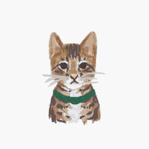 Alternative view of Pets Personalized Stationery - Cat 3