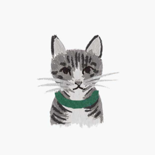 Alternative view of Pets Personalized Stationery - Cat 5