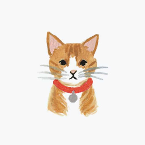 Alternative view of Pets Personalized Stationery - Cat 6