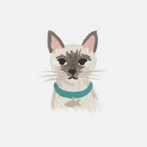 Alternative view of Pets Personalized Stationery - Cat 7