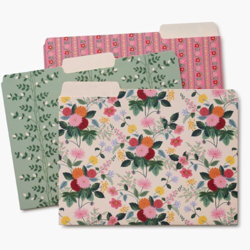 Assorted File Folders - Dahlia