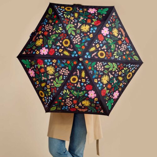 Alternative view of Umbrella - Curio
