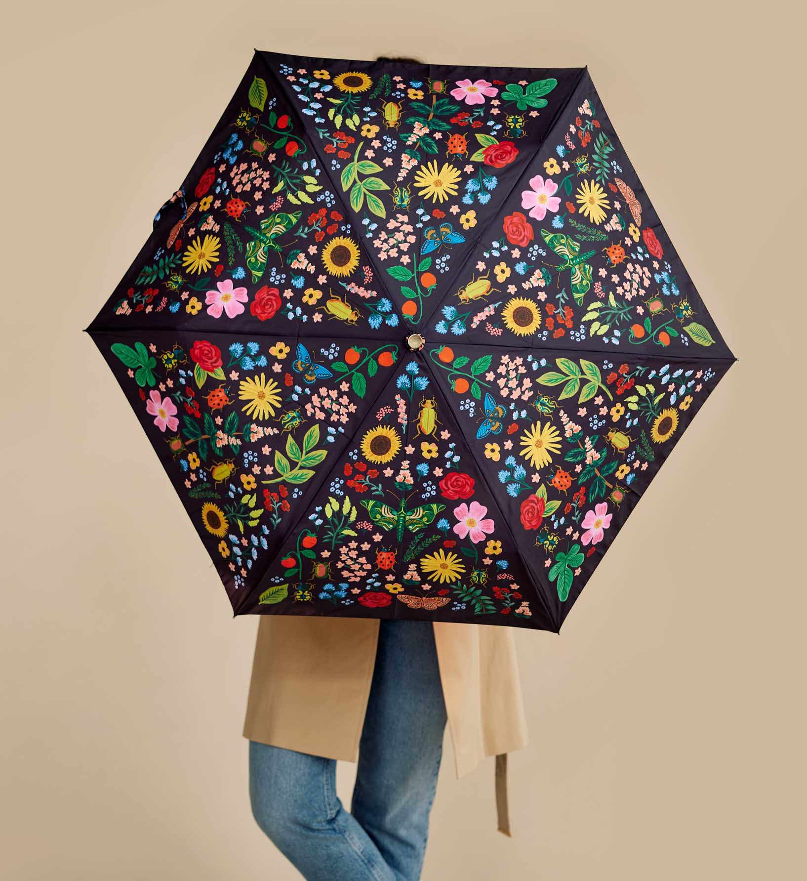 Umbrella - Curio - Image 2