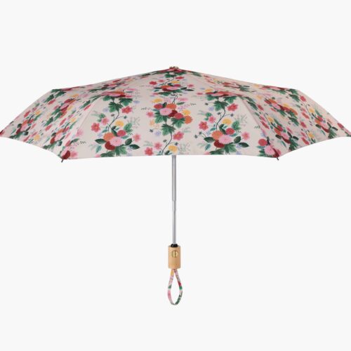 Umbrella - Dahlia