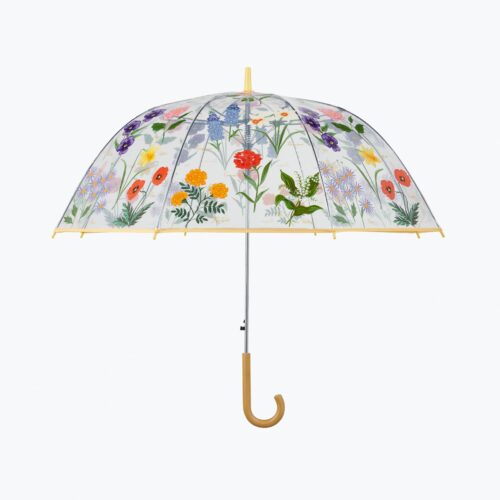 Umbrella - Garden Study