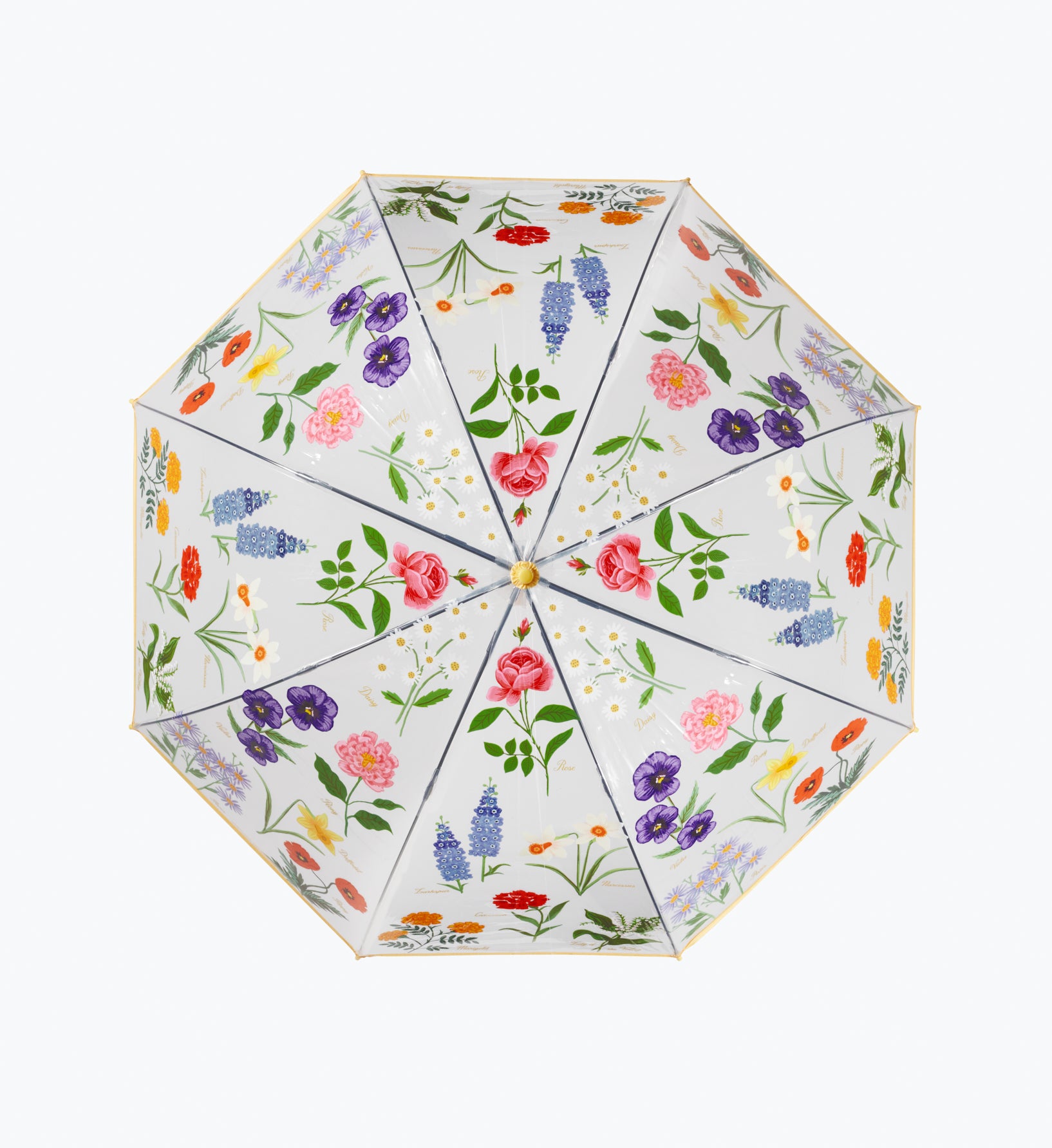 Umbrella - Garden Study - Image 4