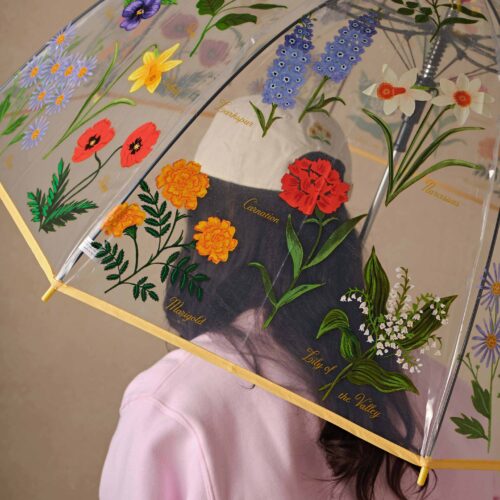 Alternative view of Umbrella - Garden Study