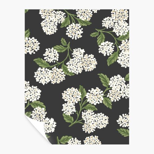 Hydrangea Peel & Stick Wallpaper Sample - Black & White