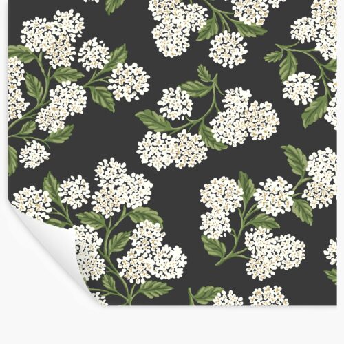 Hydrangea Peel & Stick Wallpaper - Black & White