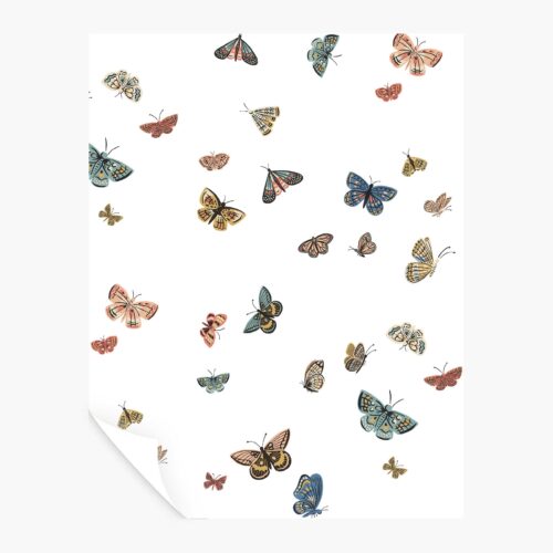 Butterfly House Peel & Stick Wallpaper Sample - White