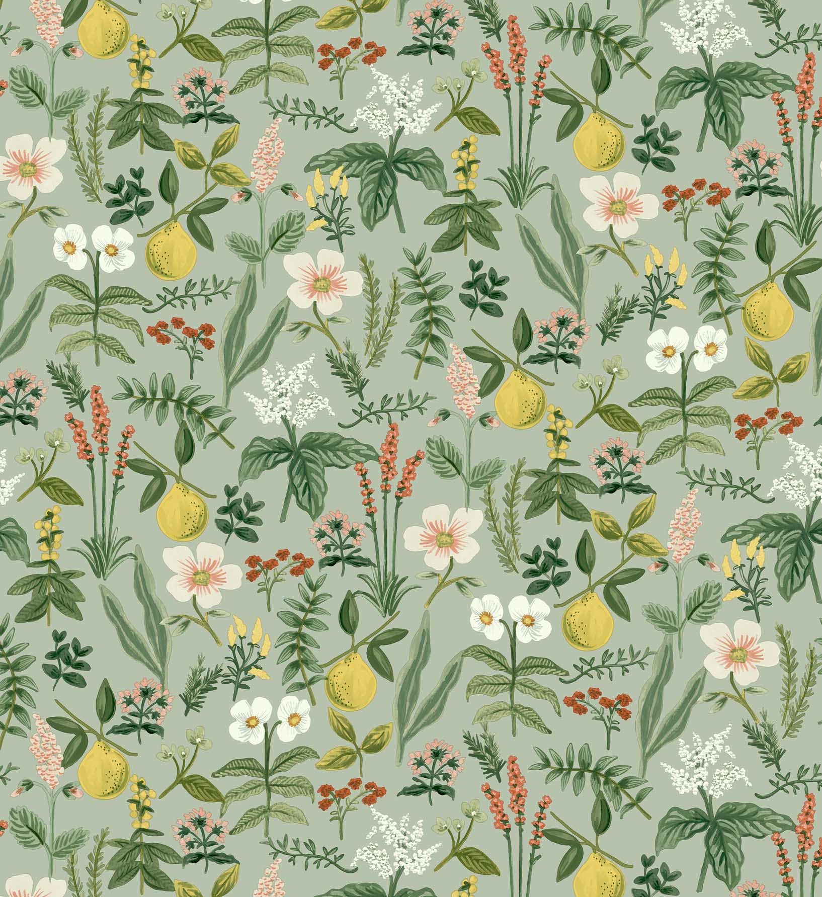 Herb Garden Peel & Stick Wallpaper Sample - Sage - Image 3