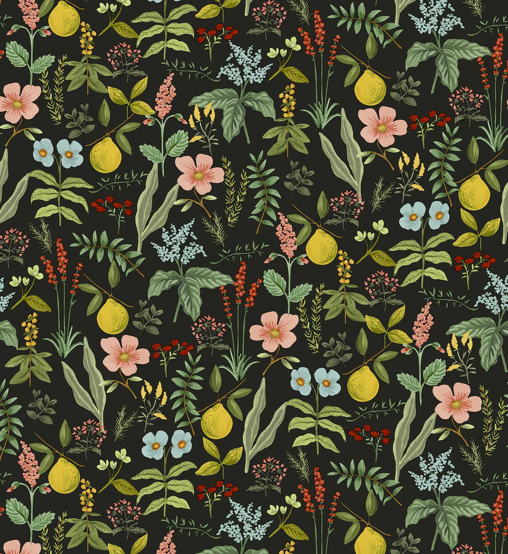 Herb Garden Peel & Stick Wallpaper - Black - Image 4