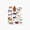 Animal Alphabet Chart Art Print