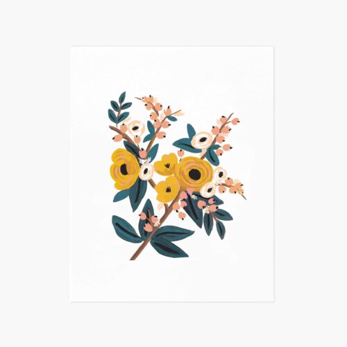 Marigold Botanical Art Print