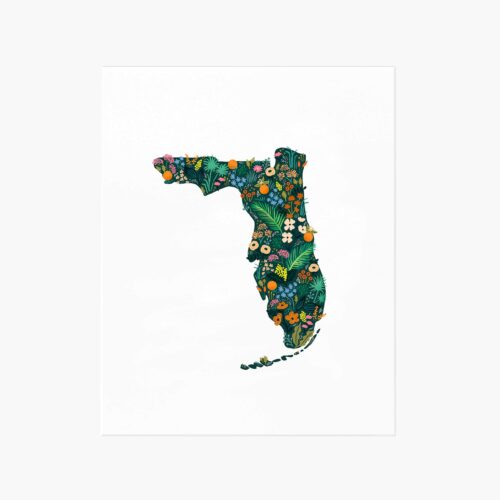 Florida Wildflowers Art Print