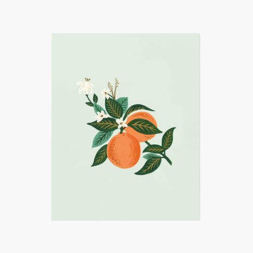 Orange Blossom Art Print