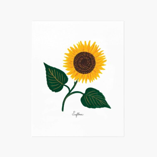 Sunflower Art Print