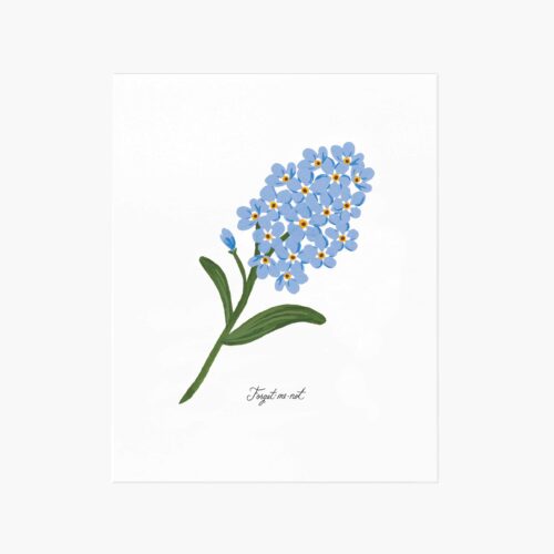 Forget-Me-Not Art Print