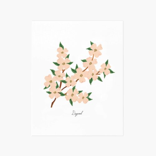 Dogwood Art Print