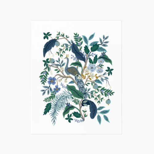 Peacock Art Print