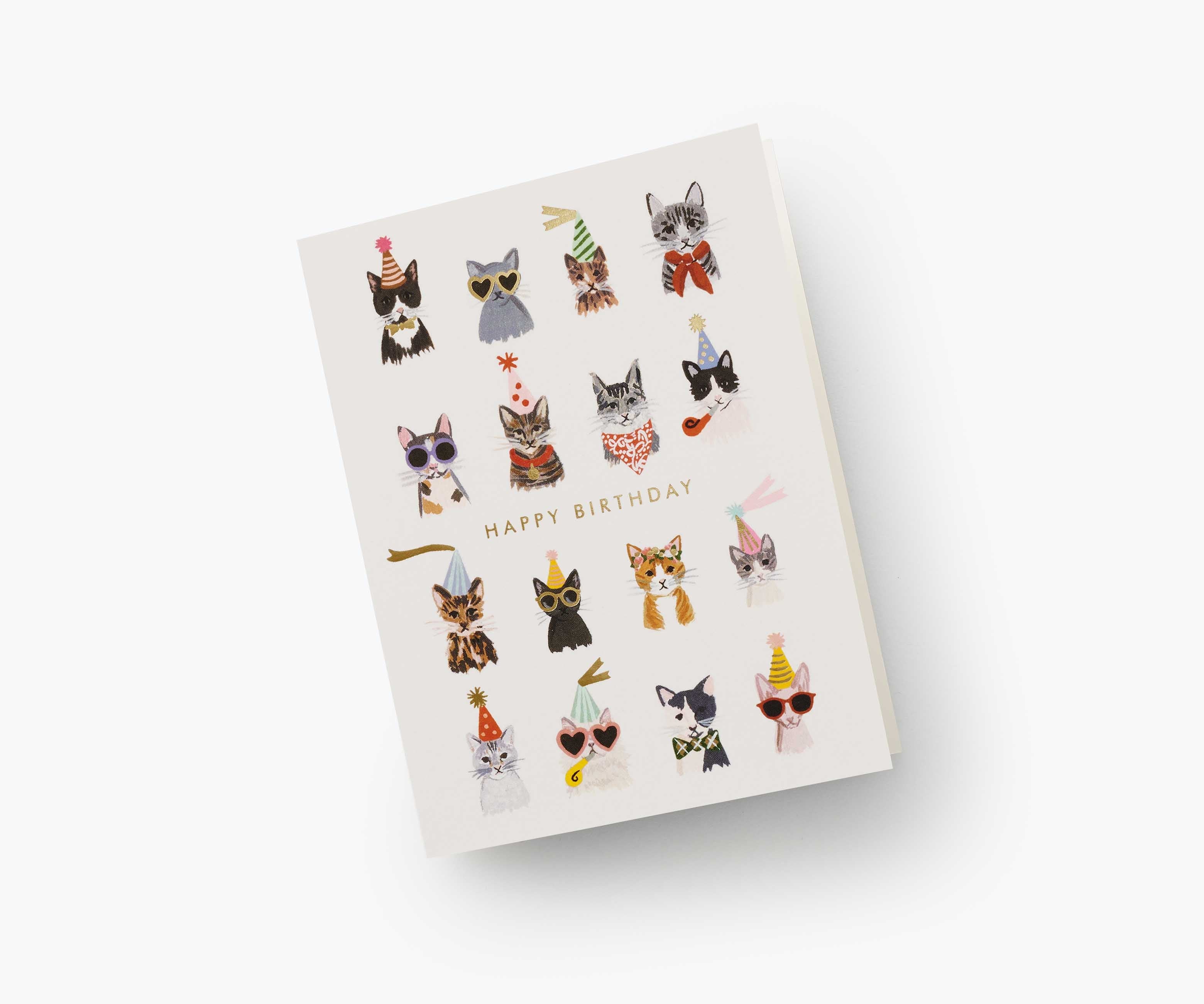 Cool Cats Birthday Cards - Boxed Set - Image 2