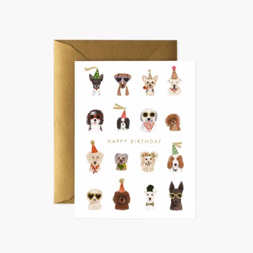 Party Pups Birthday Cards - Boxed Set