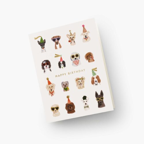 Alternative view of Party Pups Birthday Cards - Boxed Set