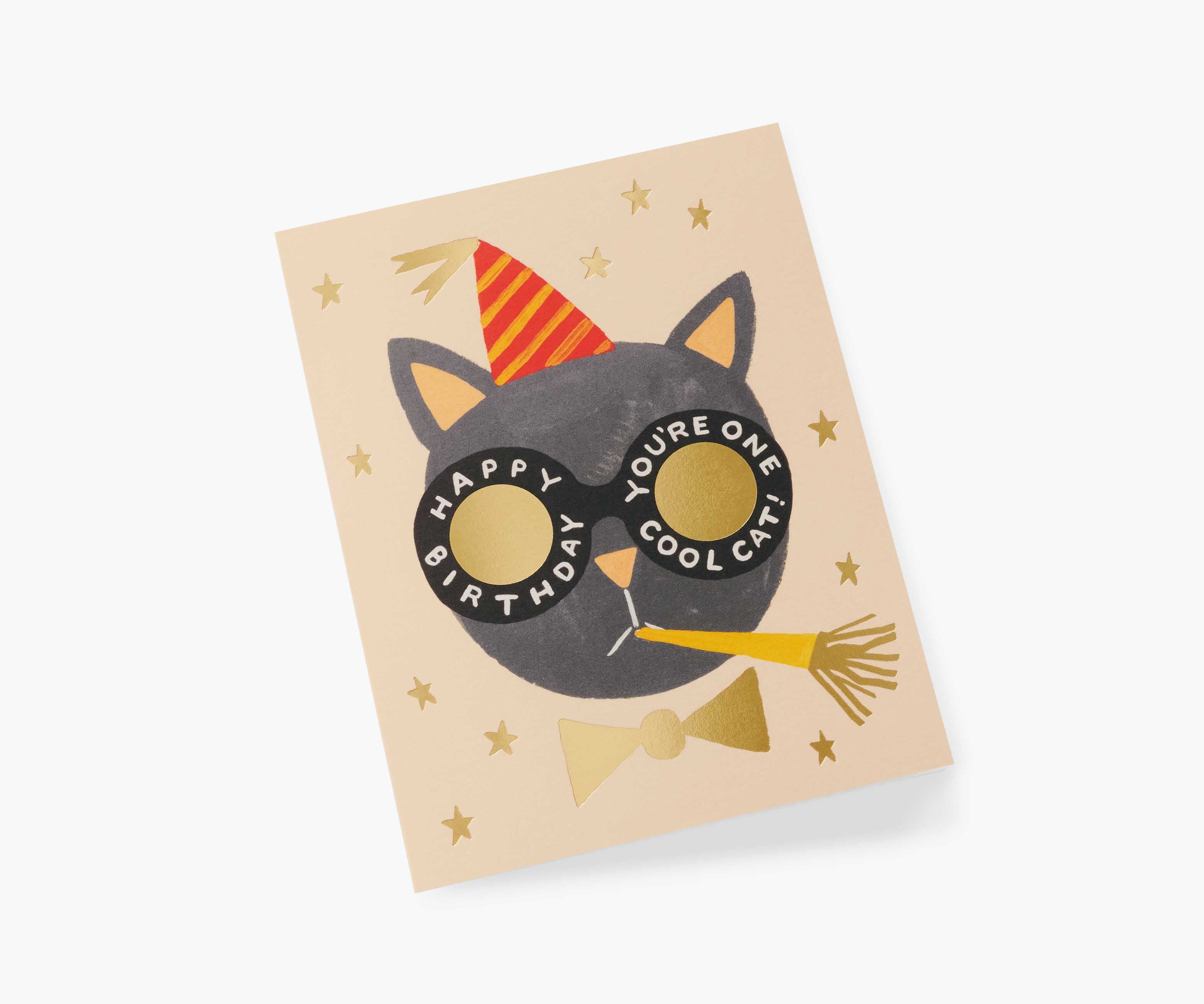 Birthday Cat Birthday Card - Single Card - Image 2