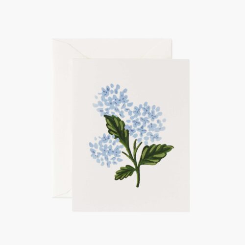 Hydrangea Bloom Everyday Card - Single Card
