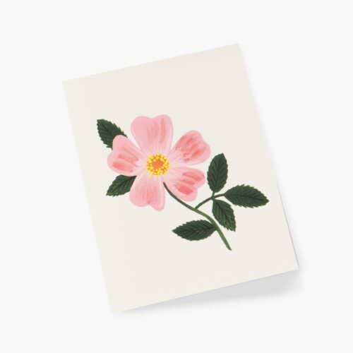 Alternative view of Wild Prairie Rose Everyday Card - Single Card