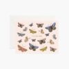 Monarch Thank You Cards - Boxed Set