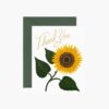 Sunflower Thank You Card - Single Card