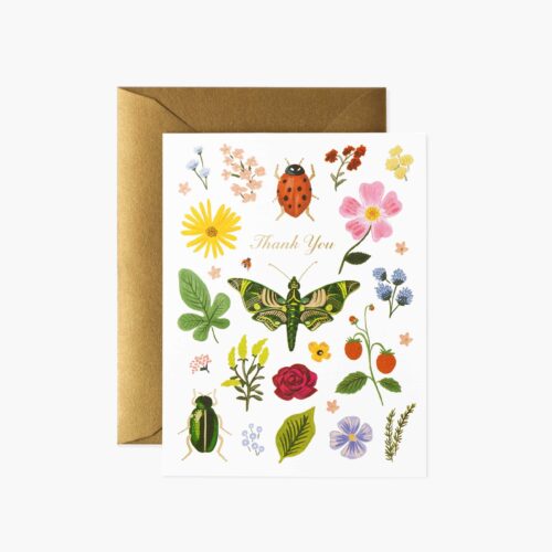 Curio Thank You Cards - Boxed Set