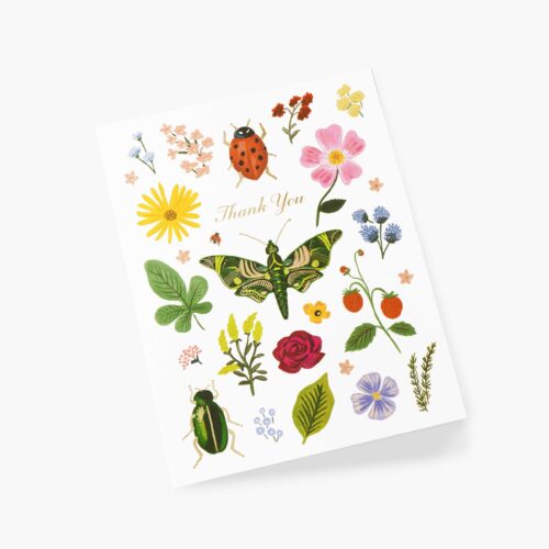 Alternative view of Curio Thank You Card - Single Card