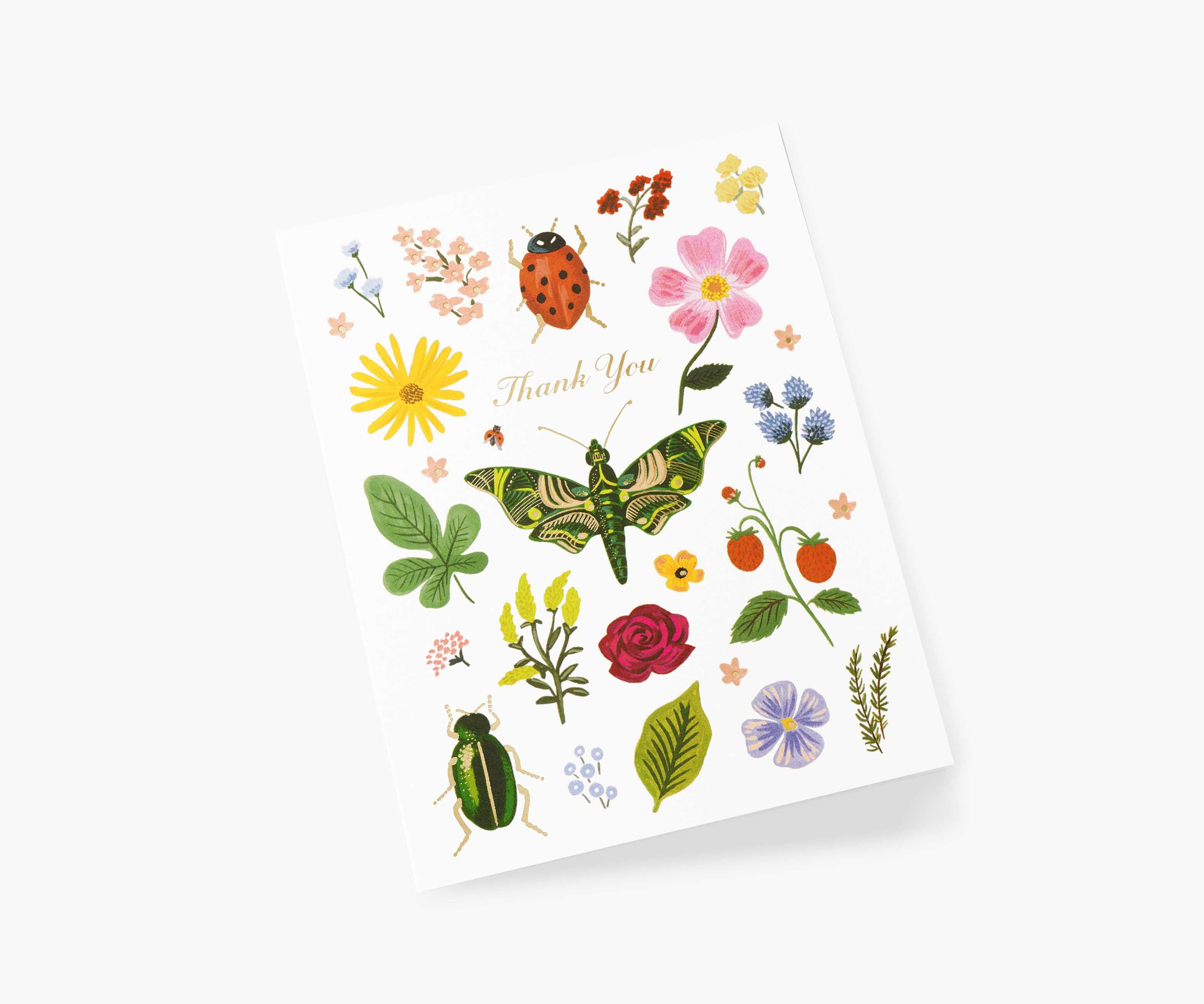 Curio Thank You Card - Single Card - Image 2