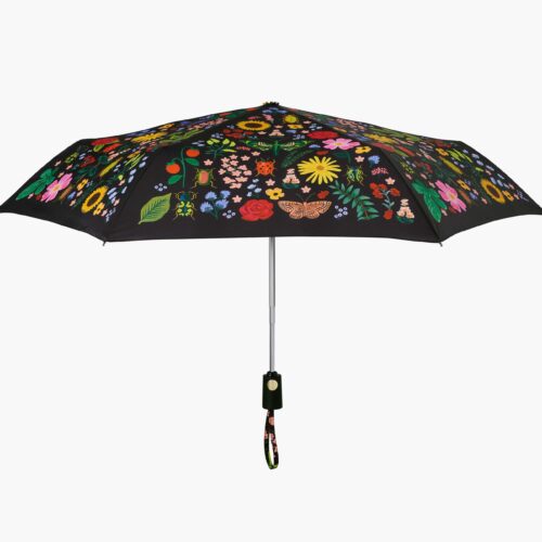Umbrella - Curio