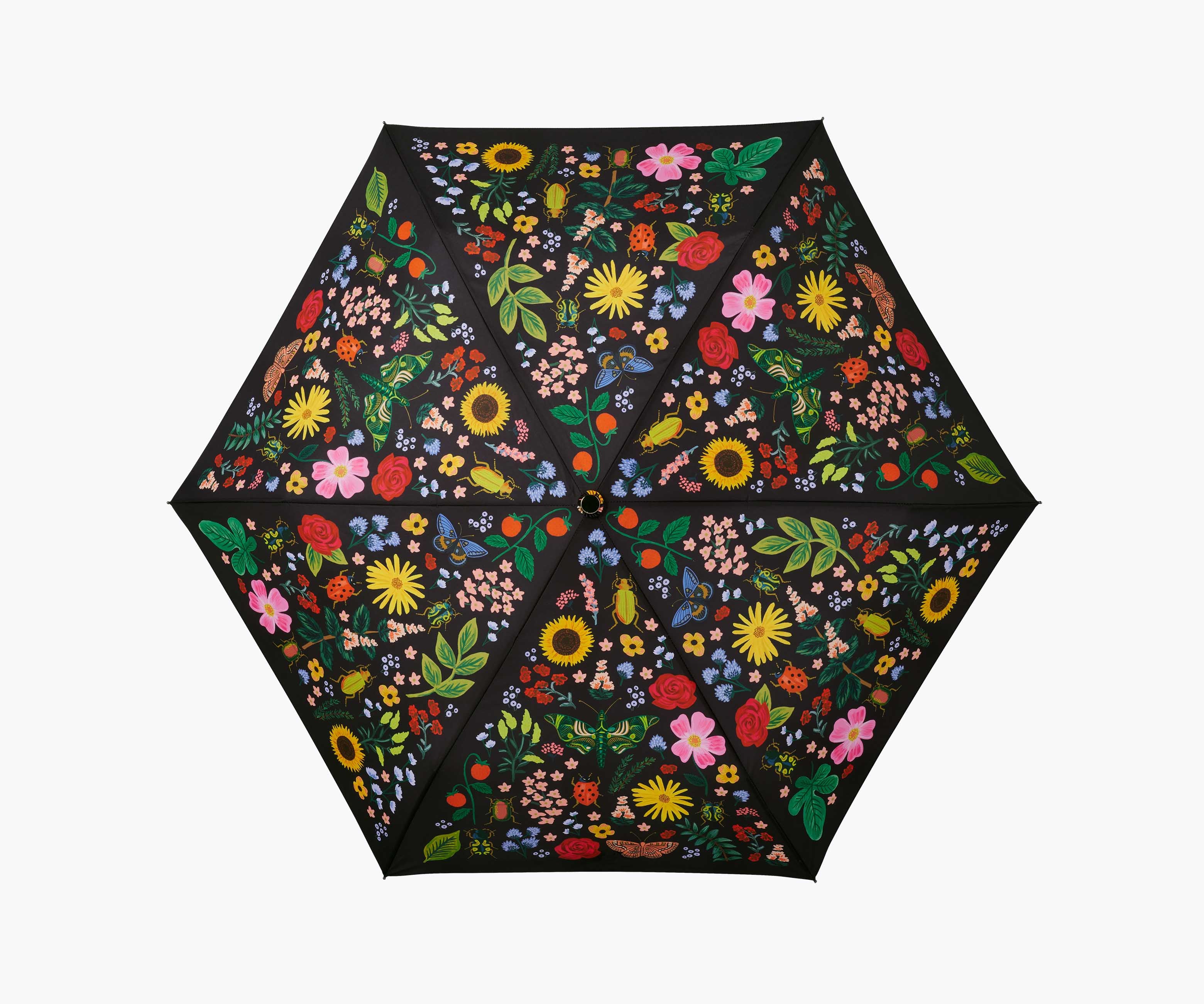 Umbrella - Curio - Image 5