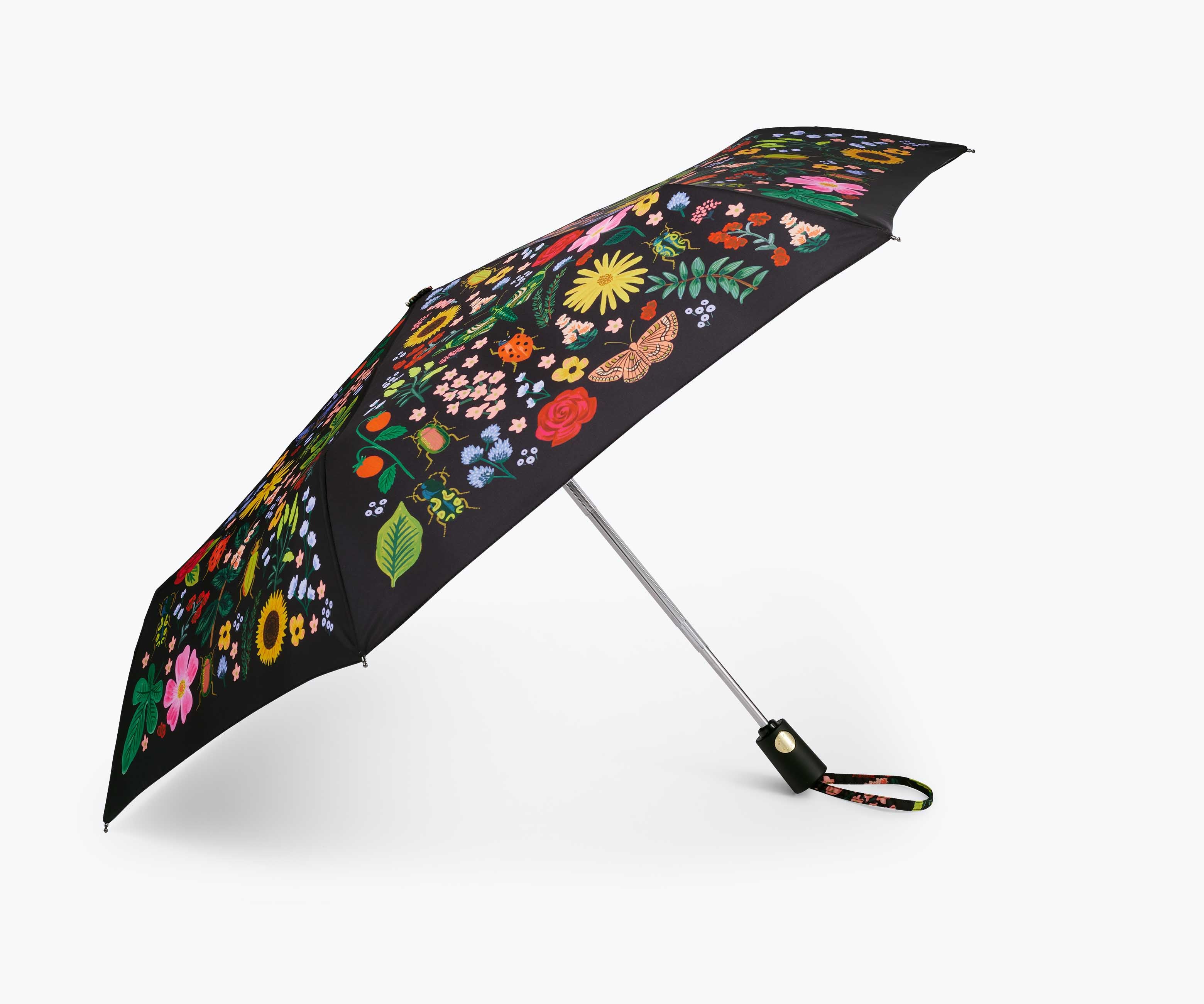 Umbrella - Curio - Image 6
